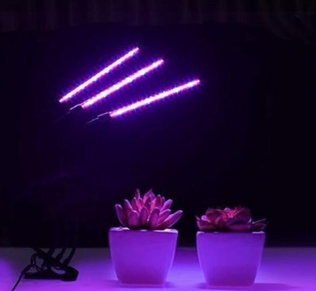 Horticulture strip  integrated  plasma led bulb grow plant lamp