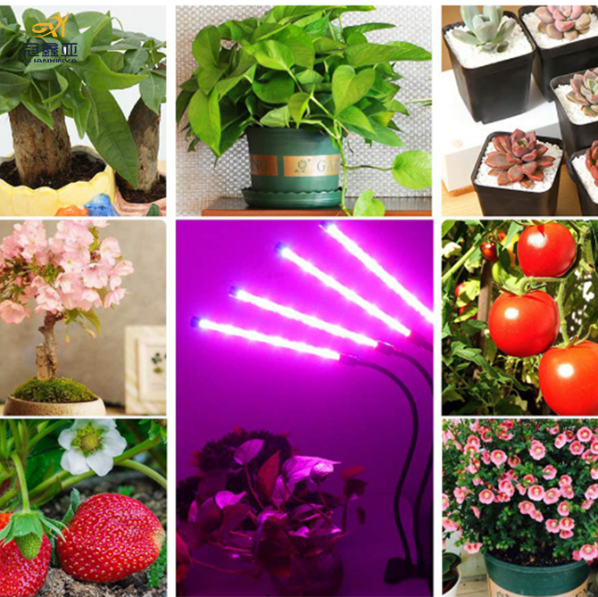 Horticulture strip  integrated  plasma led bulb grow plant lamp